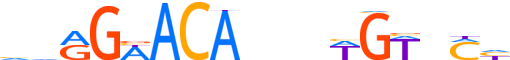 ANDR.H14CORE.0.P.B reverse-complement motif logo (AR gene, ANDR_HUMAN protein)