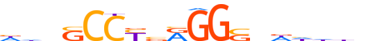 AP2B.H14CORE.0.SM.B motif logo (TFAP2B gene, AP2B_HUMAN protein)