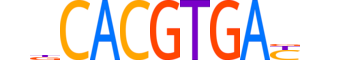 ARNT2.H14CORE.2.S.C motif logo (ARNT2 gene, ARNT2_HUMAN protein)