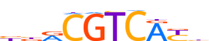 ATF1.H14CORE.0.P.B reverse-complement motif logo (ATF1 gene, ATF1_HUMAN protein)