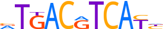 ATF2.H14CORE.0.PSM.A reverse-complement motif logo (ATF2 gene, ATF2_HUMAN protein)