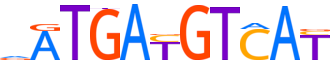 ATF2.H14CORE.1.P.B motif logo (ATF2 gene, ATF2_HUMAN protein)