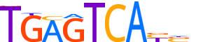 ATF3.H14CORE.0.P.B reverse-complement motif logo (ATF3 gene, ATF3_HUMAN protein)