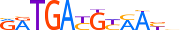 ATF3.H14CORE.2.P.B motif logo (ATF3 gene, ATF3_HUMAN protein)