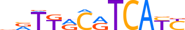 ATF3.H14CORE.2.P.B reverse-complement motif logo (ATF3 gene, ATF3_HUMAN protein)