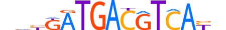 ATF3.H14CORE.3.SM.B motif logo (ATF3 gene, ATF3_HUMAN protein)