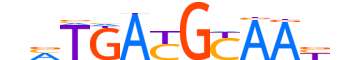 ATF4.H14CORE.1.S.B motif logo (ATF4 gene, ATF4_HUMAN protein)