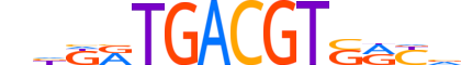ATF6B.H14CORE.0.SM.B motif logo (ATF6B gene, ATF6B_HUMAN protein)