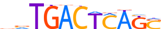 BACH2.H14CORE.0.P.B reverse-complement motif logo (BACH2 gene, BACH2_HUMAN protein)