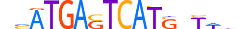 BACH2.H14CORE.1.SM.B motif logo (BACH2 gene, BACH2_HUMAN protein)