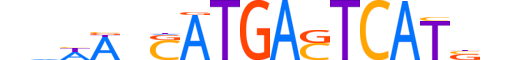 BACH2.H14CORE.1.SM.B reverse-complement motif logo (BACH2 gene, BACH2_HUMAN protein)
