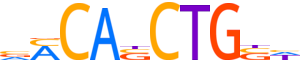 BHA09.H14CORE.0.P.B reverse-complement motif logo (BHLHA9 gene, BHA09_HUMAN protein)