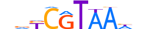 CDX2.H14CORE.1.M.C reverse-complement motif logo (CDX2 gene, CDX2_HUMAN protein)