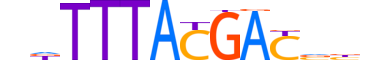 CDX4.H14CORE.1.M.C motif logo (CDX4 gene, CDX4_HUMAN protein)