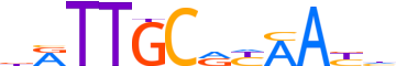 CEBPA.H14CORE.0.P.B reverse-complement motif logo (CEBPA gene, CEBPA_HUMAN protein)