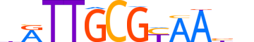 CEBPG.H14CORE.1.SM.B motif logo (CEBPG gene, CEBPG_HUMAN protein)