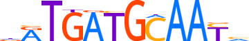 CEBPG.H14CORE.2.P.B reverse-complement motif logo (CEBPG gene, CEBPG_HUMAN protein)