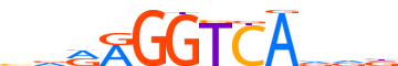 COT2.H14CORE.1.P.B motif logo (NR2F2 gene, COT2_HUMAN protein)