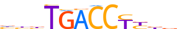 COT2.H14CORE.1.P.B reverse-complement motif logo (NR2F2 gene, COT2_HUMAN protein)