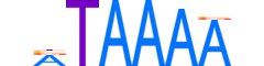 CPEB1.H14CORE.0.S.B reverse-complement motif logo (CPEB1 gene, CPEB1_HUMAN protein)