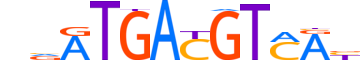 CREB5.H14CORE.1.SM.B motif logo (CREB5 gene, CREB5_HUMAN protein)