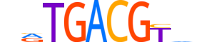 CREM.H14CORE.0.PSM.A motif logo (CREM gene, CREM_HUMAN protein)
