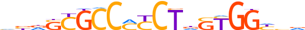 CTCF.H14CORE.0.P.B reverse-complement motif logo (CTCF gene, CTCF_HUMAN protein)