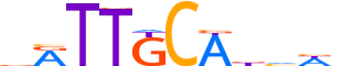 DDIT3.H14CORE.0.P.B reverse-complement motif logo (DDIT3 gene, DDIT3_HUMAN protein)