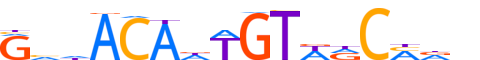 DMRT1.H14CORE.0.PS.A reverse-complement motif logo (DMRT1 gene, DMRT1_HUMAN protein)