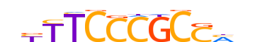 E2F7.H14CORE.1.P.B reverse-complement motif logo (E2F7 gene, E2F7_HUMAN protein)