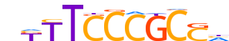 E2F8.H14CORE.0.P.C reverse-complement motif logo (E2F8 gene, E2F8_HUMAN protein)