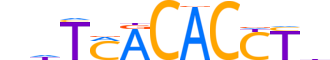 EOMES.H14CORE.0.PSM.A reverse-complement motif logo (EOMES gene, EOMES_HUMAN protein)