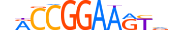 ERG.H14CORE.1.SM.B motif logo (ERG gene, ERG_HUMAN protein)