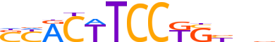 ETS1.H14CORE.1.P.B reverse-complement motif logo (ETS1 gene, ETS1_HUMAN protein)