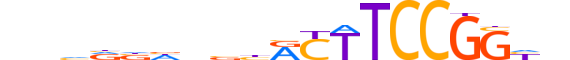ETS2.H14CORE.0.S.C reverse-complement motif logo (ETS2 gene, ETS2_HUMAN protein)