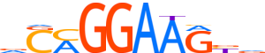 ETV4.H14CORE.0.P.B motif logo (ETV4 gene, ETV4_HUMAN protein)