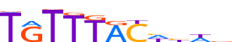 FOXA1.H14CORE.0.P.B motif logo (FOXA1 gene, FOXA1_HUMAN protein)