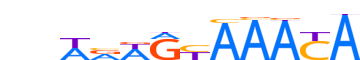 FOXM1.H14CORE.0.P.B reverse-complement motif logo (FOXM1 gene, FOXM1_HUMAN protein)