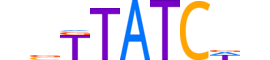 GATA3.H14CORE.0.PS.A reverse-complement motif logo (GATA3 gene, GATA3_HUMAN protein)