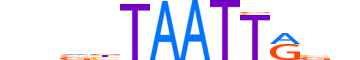 GBX1.H14CORE.0.S.B motif logo (GBX1 gene, GBX1_HUMAN protein)