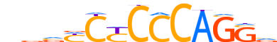 GLIS3.H14CORE.0.P.C reverse-complement motif logo (GLIS3 gene, GLIS3_HUMAN protein)