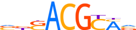 GMEB1.H14CORE.0.P.C reverse-complement motif logo (GMEB1 gene, GMEB1_HUMAN protein)