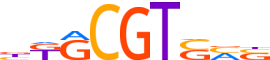 GMEB2.H14CORE.1.P.C motif logo (GMEB2 gene, GMEB2_HUMAN protein)