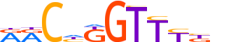 GRHL2.H14CORE.1.P.B motif logo (GRHL2 gene, GRHL2_HUMAN protein)