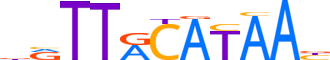 HLF.H14CORE.0.P.B reverse-complement motif logo (HLF gene, HLF_HUMAN protein)