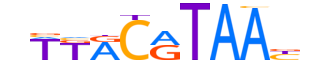 HLF.H14CORE.1.SM.B reverse-complement motif logo (HLF gene, HLF_HUMAN protein)