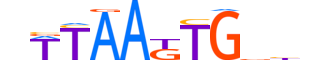 HMX2.H14CORE.0.SM.B motif logo (HMX2 gene, HMX2_HUMAN protein)