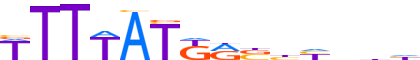 HXA11.H14CORE.0.PS.A motif logo (HOXA11 gene, HXA11_HUMAN protein)