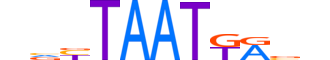 HXB5.H14CORE.0.SM.B motif logo (HOXB5 gene, HXB5_HUMAN protein)