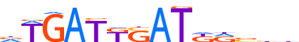 HXB7.H14CORE.0.P.C motif logo (HOXB7 gene, HXB7_HUMAN protein)